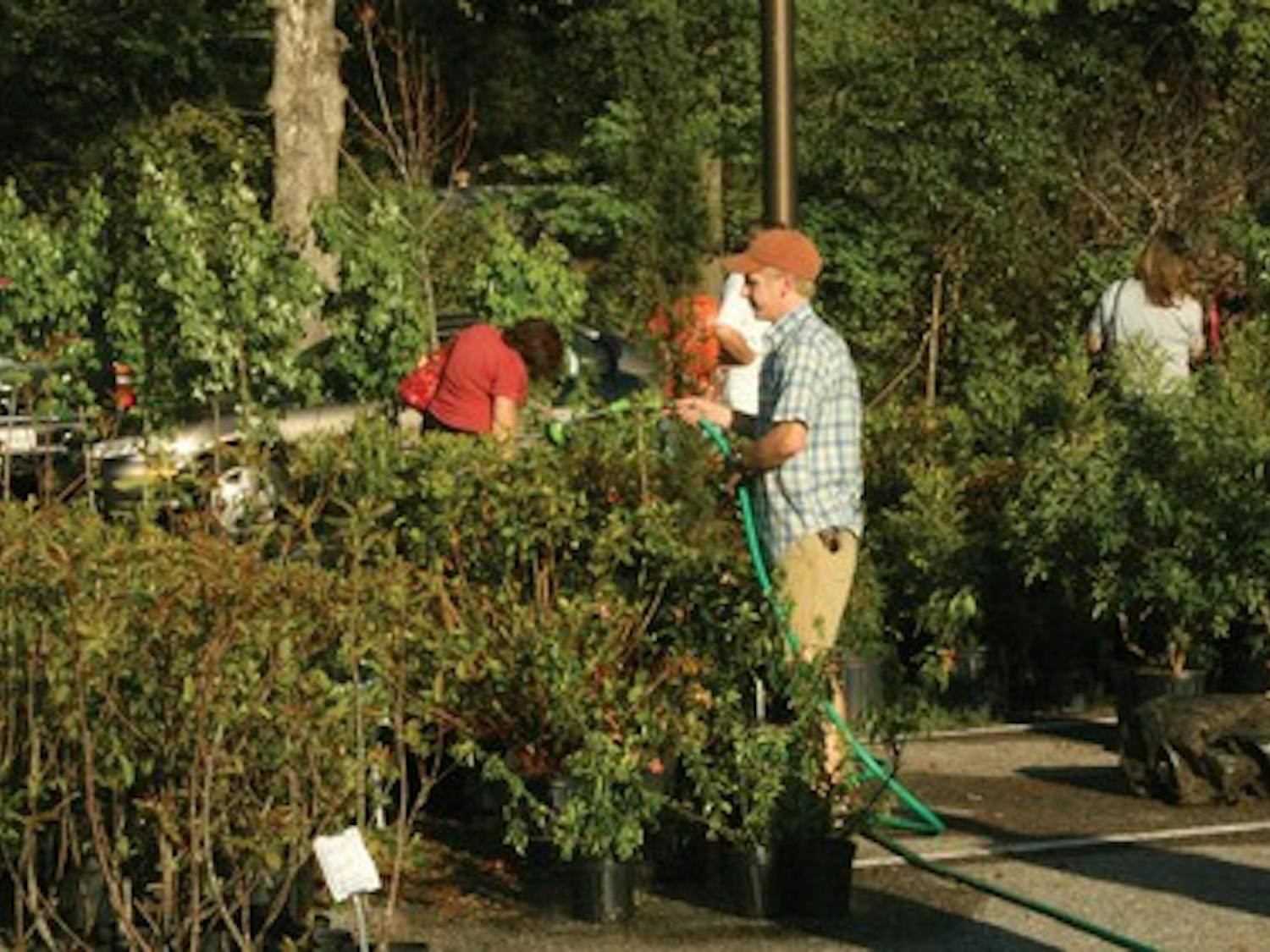 The plant sale featured a variety of vegetation for customers to purchase. Bedding plants, shrubs, trees, roses, and blueberry and blackberry plants were among the choices, and many were grown locally and around the Southeast. This year marked the ninth annual A-Day plant sale.