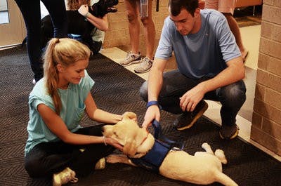 The Canine Performance Sciences program trains dogs from a young age.