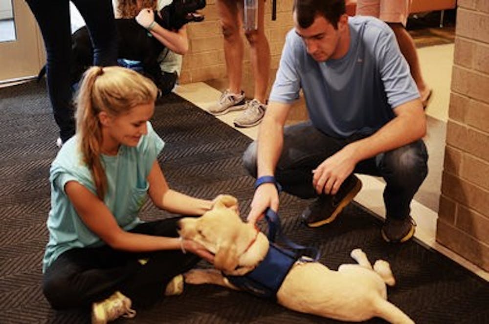 The Canine Performance Sciences program trains dogs from a young age. (Raye May | Photo Editor)