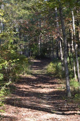The Muscogee-Creek language has been nearly lost in the years following the tribe's removal during the Trail of Tears.