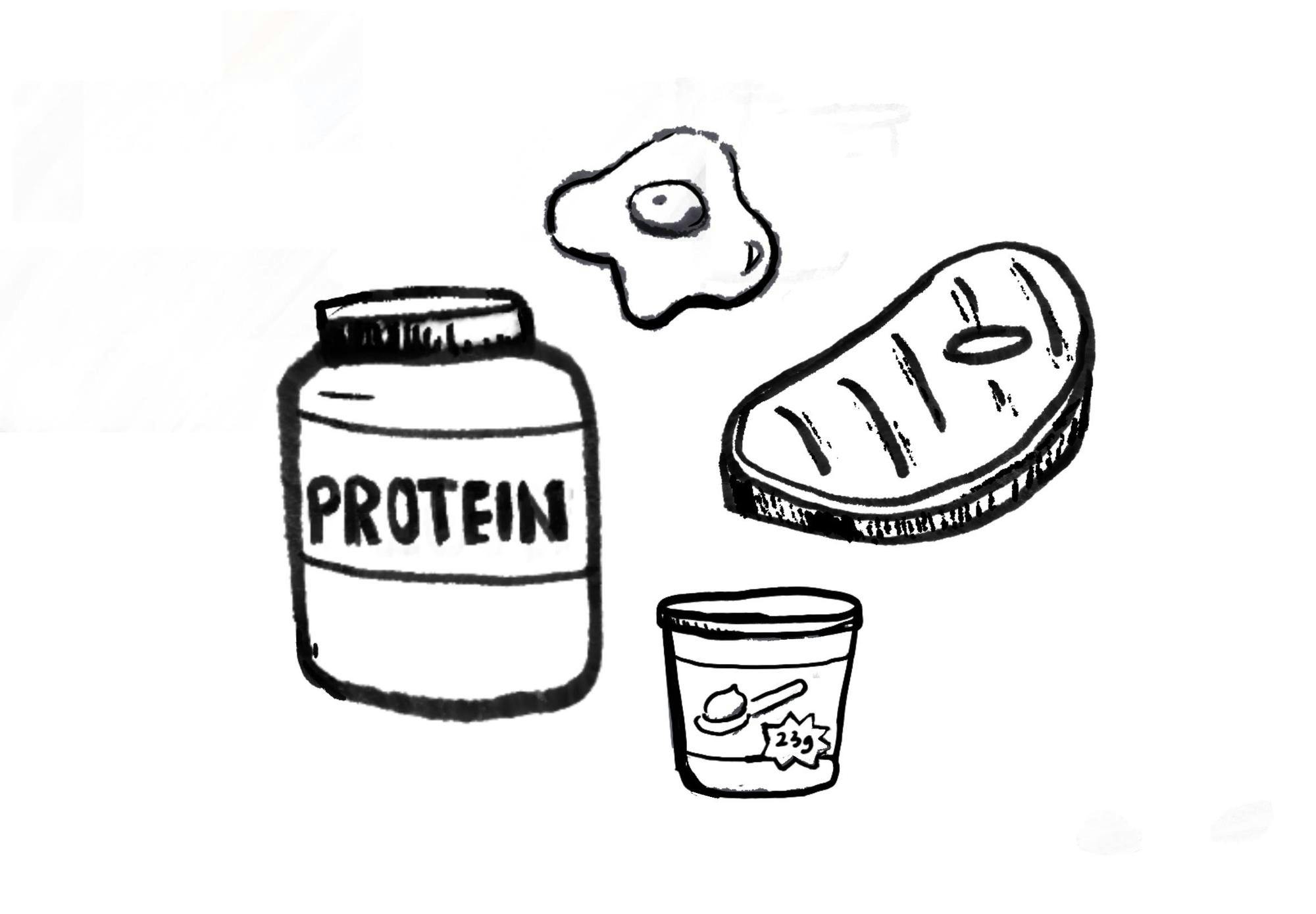 A container labeled "PROTEIN," an egg, a piece of meat, and a cup with a scoop inside.