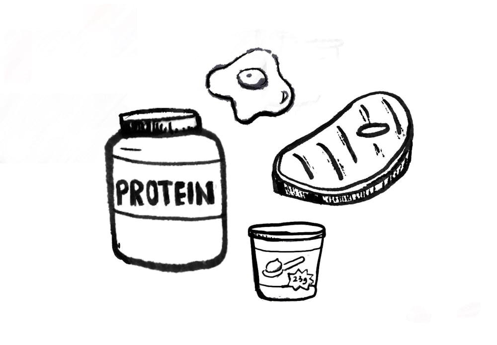 <p>A container labeled "PROTEIN," an egg, a piece of meat, and a cup with a scoop inside.</p>