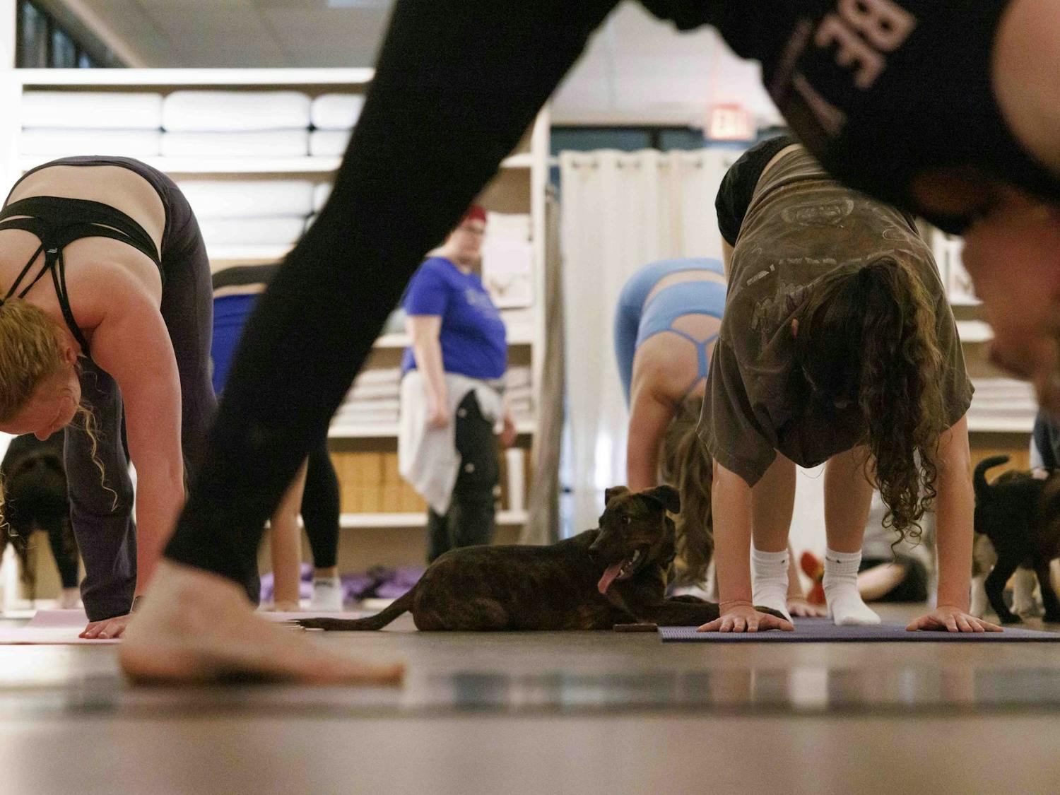 Puppies run between yoga mats and women during puppy yoga at Be Yoga in a collaboration with Auburn Women in Law and CARE Humane Society, March 5, 2026 in Auburn, Ala.