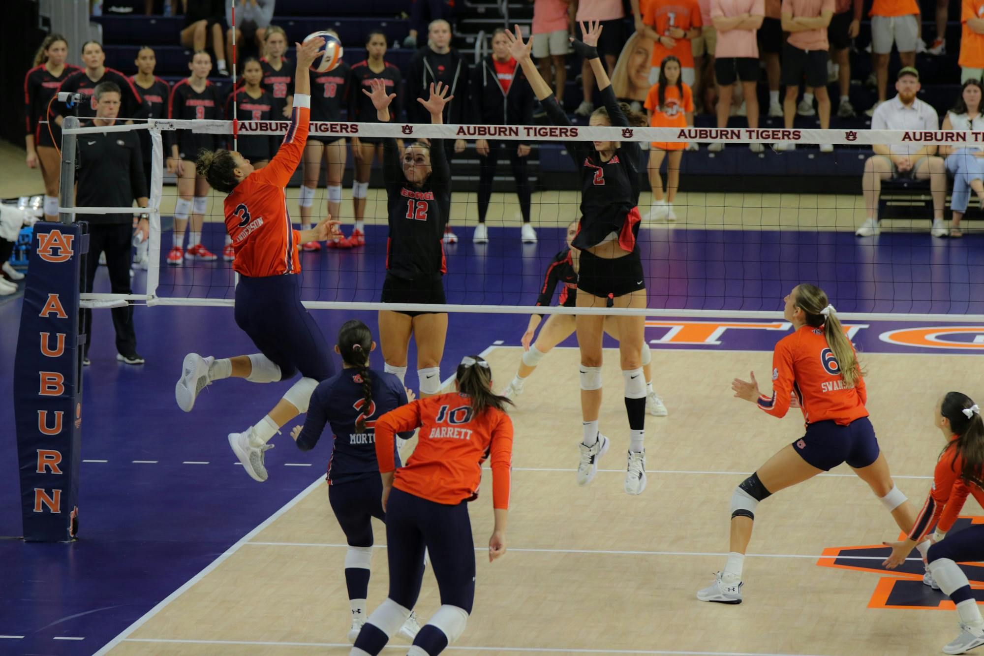 Auburn vs. Georgia Women’s Volleyball