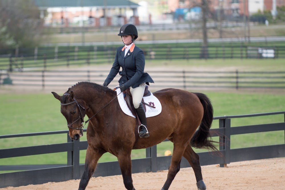 Auburn equestrian defeats South Carolina, 12-7, on Saturday, Feb. 24, 2018, in Auburn, Ala.