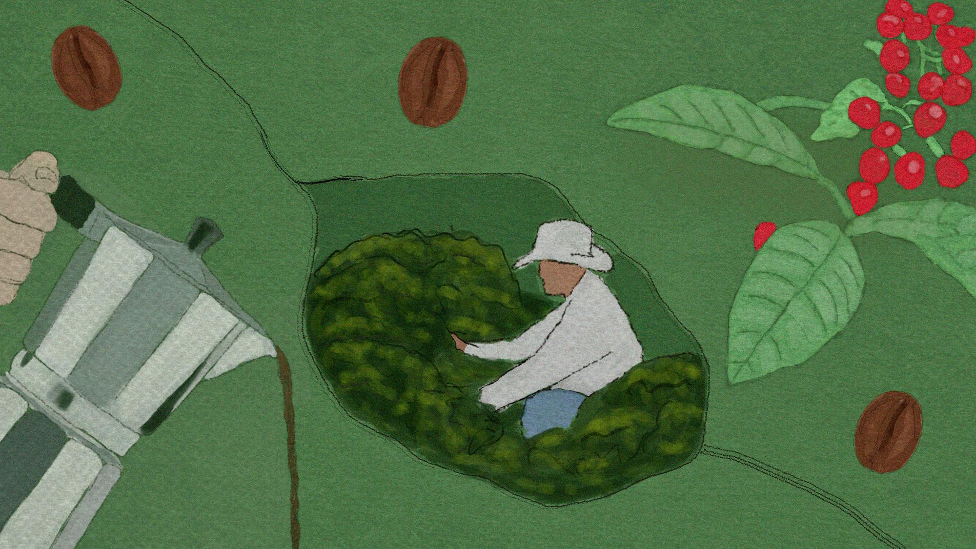 Where Does Our Coffee Come From Graphic