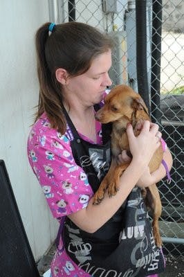 Heather Kather, store and rescue manager, holds Buddy, a 2-year-old adoptable dog. Kather said Buddy makes a great lap dog because he's very affectionate. (Christen Harned / ASSISTANT PHOTO EDITOR)