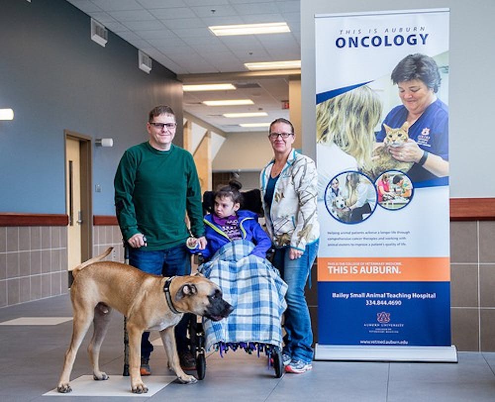 Scooby, a one-year-old Great Dane, arrives at Auburn’s Bailey Small Animal Teaching Hospital with his family.