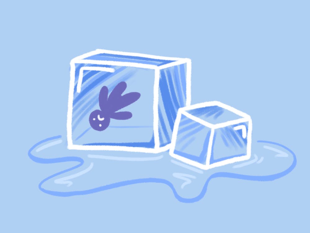 <p>A large ice cube with a human trapped inside with a sad face, next to a smaller ice cube with melted water underneath.</p>