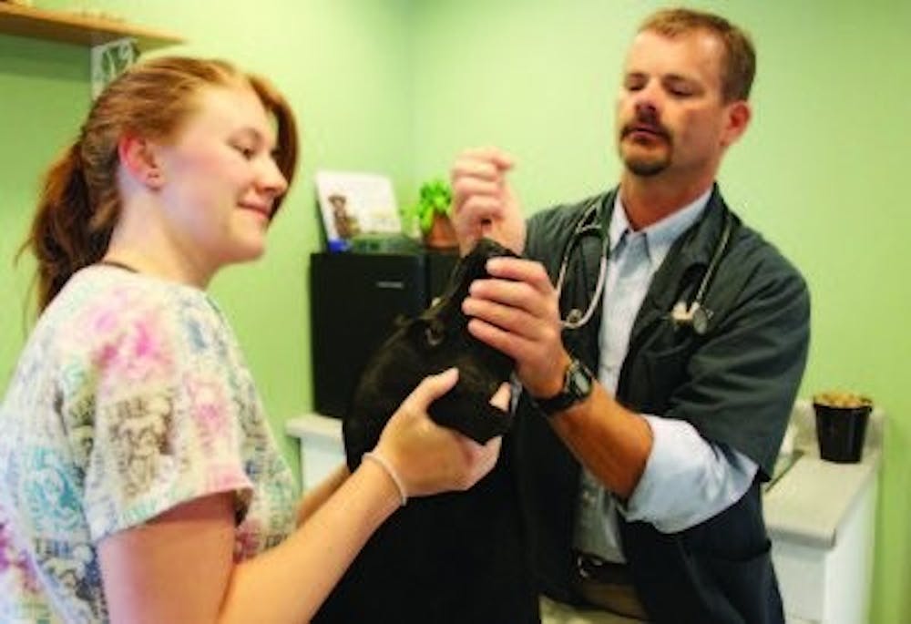 Ted Albert of South College Veterinary Clinic and Stephanie Elliot, junior in animal science and clinic employee, vaccinate Labrador retriever Max for kennel cough. (Emily Adams / PHOTO EDITOR)