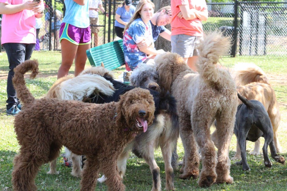 Several dozen dogs enjoyed running, playing and socializing together&nbsp;at the Opelika dog park on Saturday, April 14, 2018.