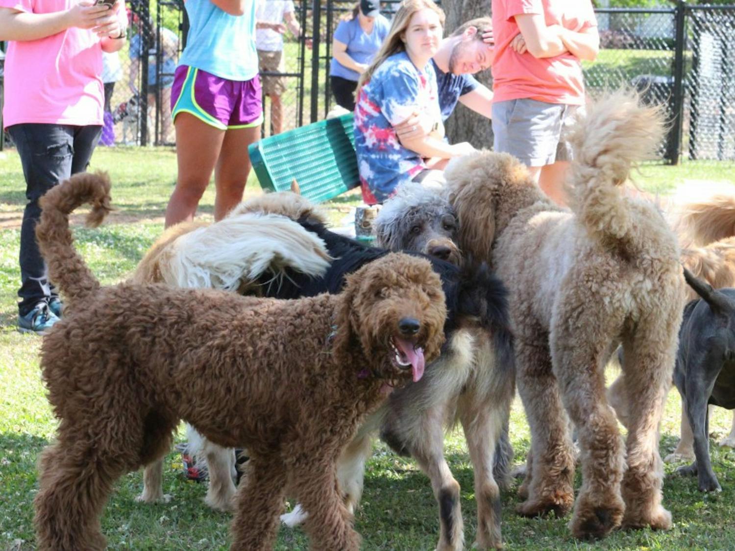 Several dozen dogs enjoyed running, playing and socializing together at the Opelika dog park on Saturday, April 14, 2018.