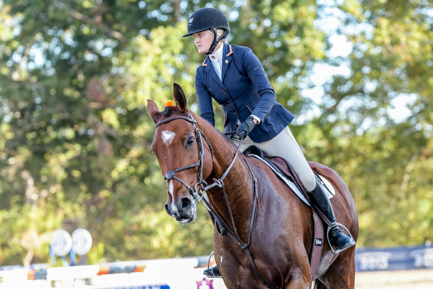 Sophee Steckbeck riding Blue in a meet against South Carolina at Auburn Equestrian Center on Oct. 27, 2023