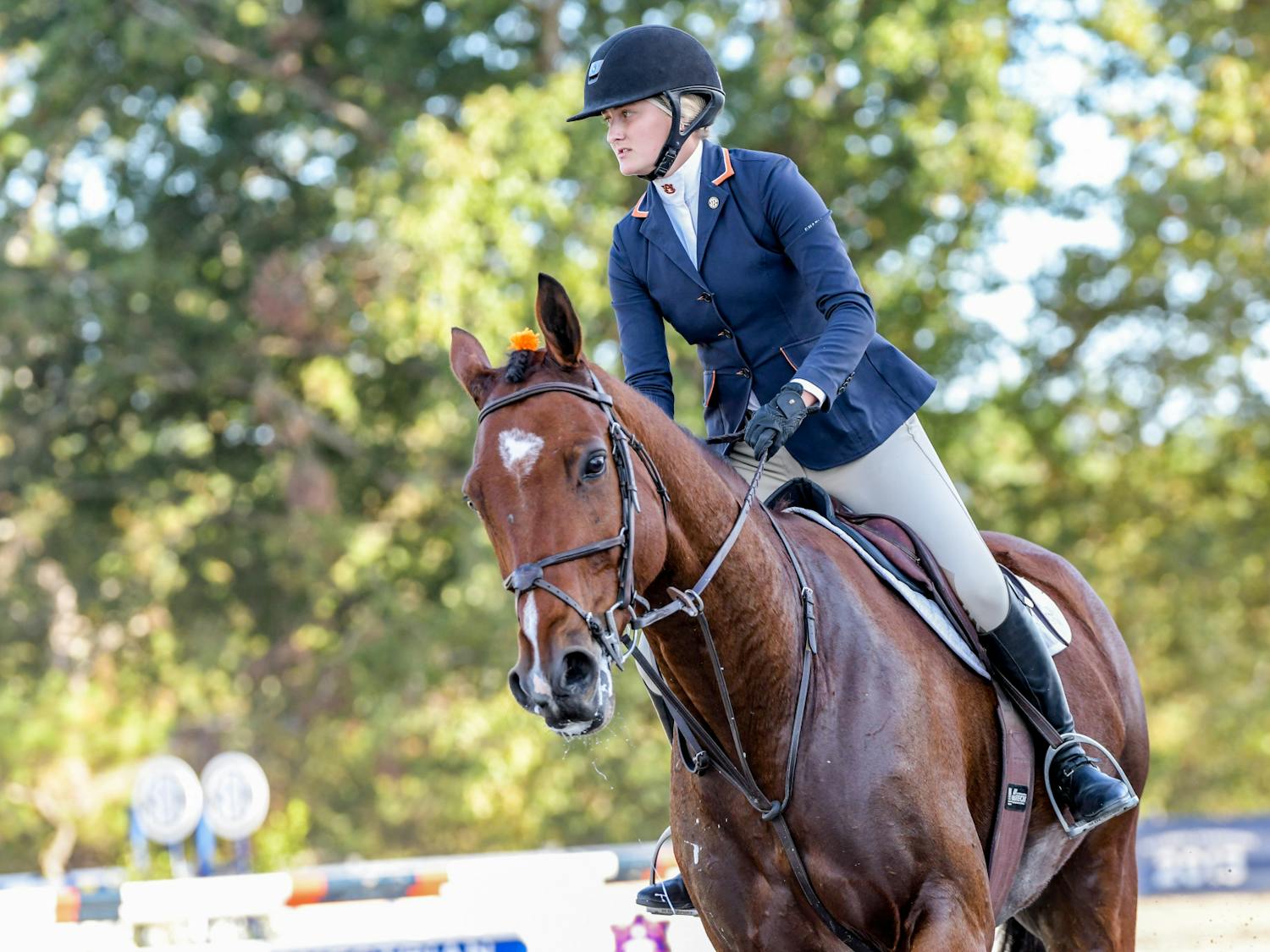 Sophee Steckbeck riding Blue in a meet against South Carolina at Auburn Equestrian Center on Oct. 27, 2023