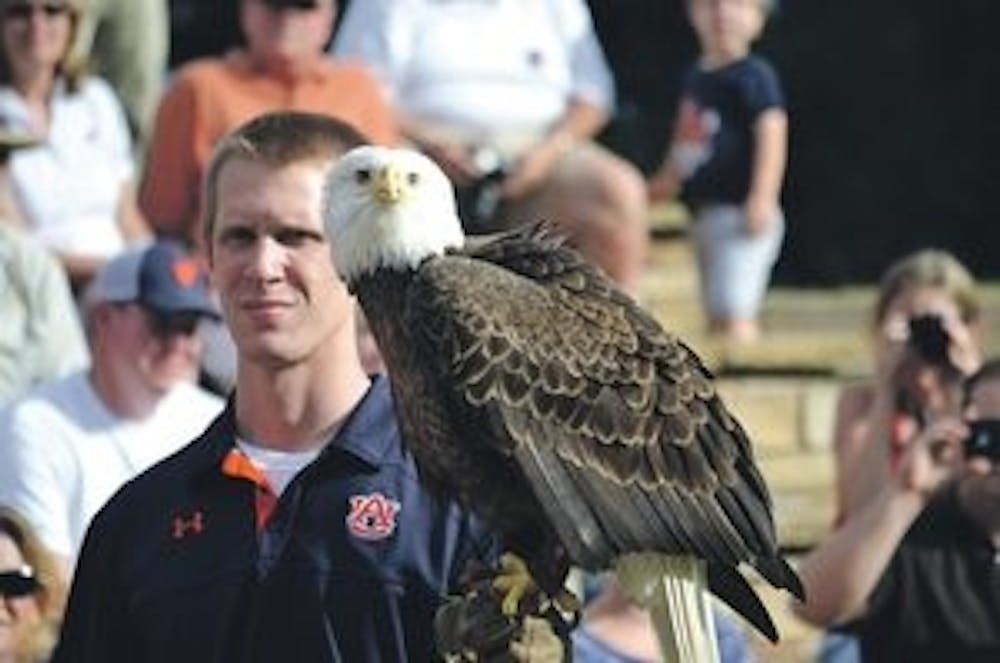 One of the trainers at the Raptor Center holds Spirit on a gloved hand as another trainer narrates Spirit's story to the audience. Spirit is lacking the hooked beak needed for hunting making him unreleasable.