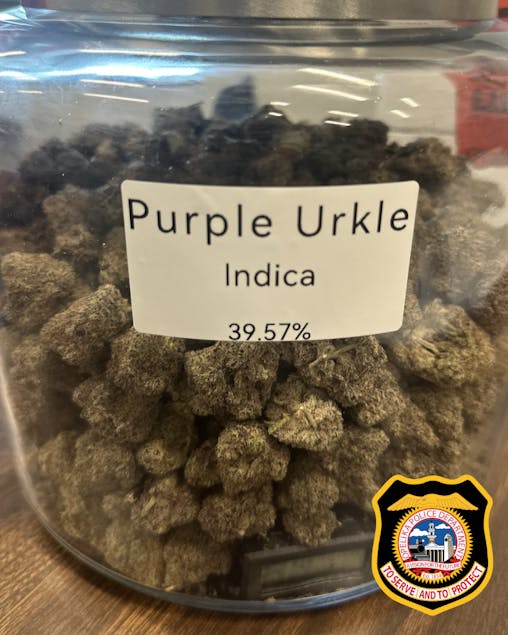 A glass jar filled with dark green cannabis buds labeled "Purple Urkle," indicating an indica strain with 39.57% potency.