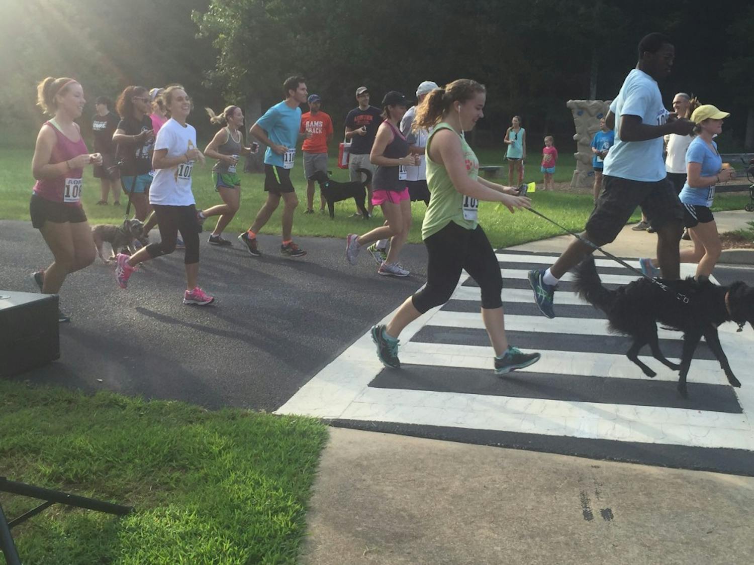 Participants and their dogs race in the 5K.(Rachael Taylor | Community Writer)