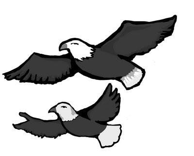 (Rachel Suhs / DESIGN EDITOR)