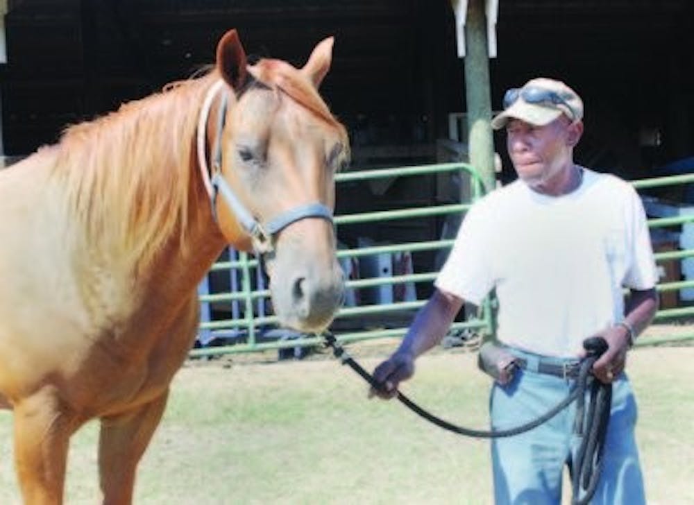 Ben Brown, farm worker at the Horse Center, walks Boomer Monday afternoon. (Emily Adams /  PHOTO EDITOR)