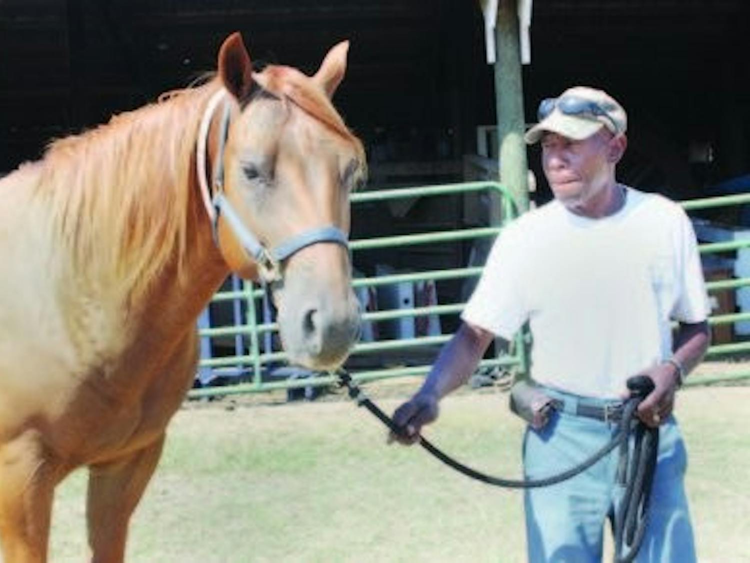 Ben Brown, farm worker at the Horse Center, walks Boomer Monday afternoon. (Emily Adams / PHOTO EDITOR)