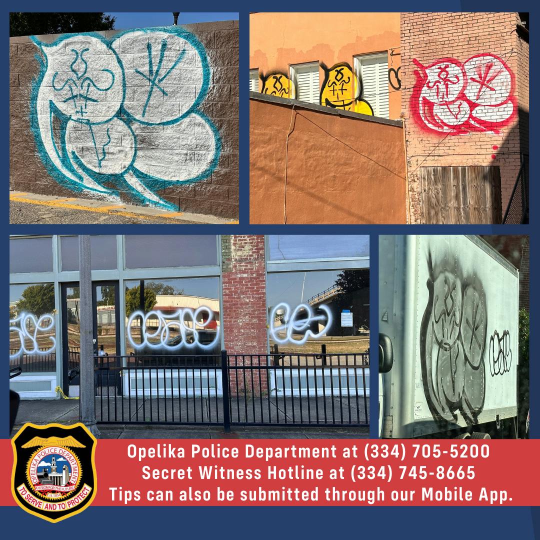 Vandalism - Suspects