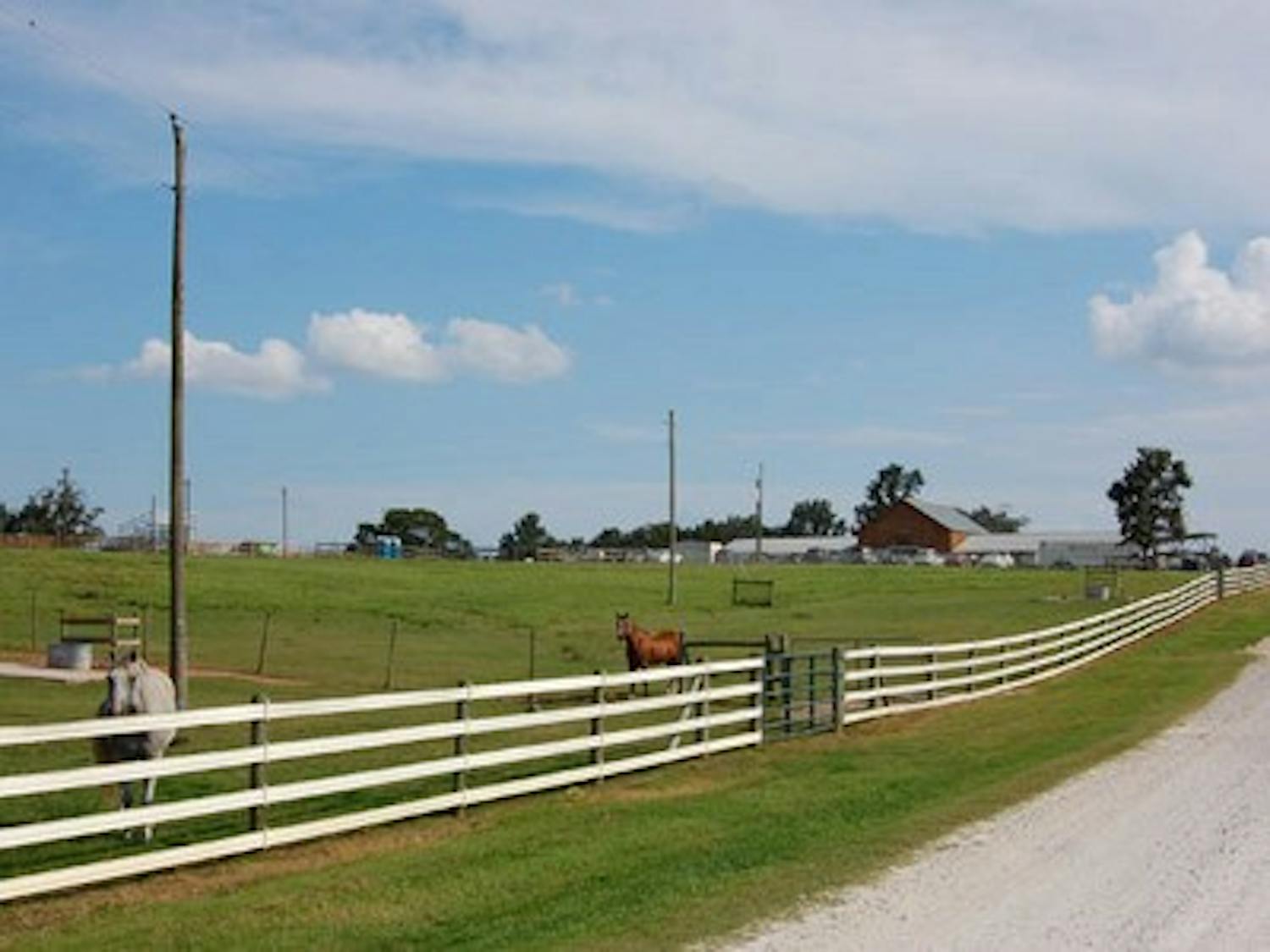 The Auburn University Equestrian Team practices five days a week at the Horse Center on Wire Road.