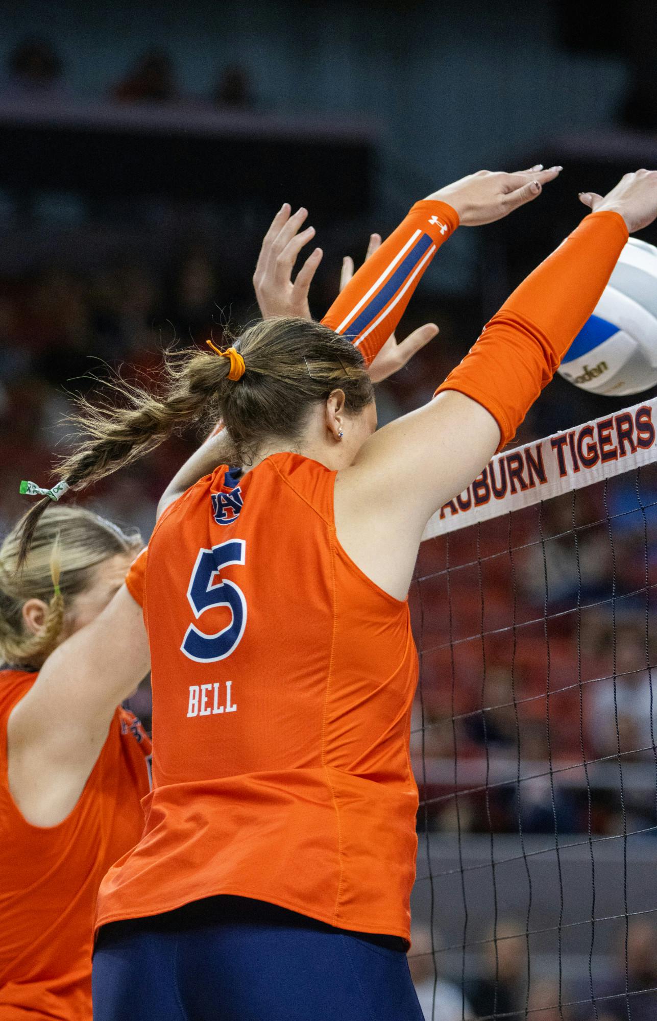 AU VB vs UGA VB-06.jpg