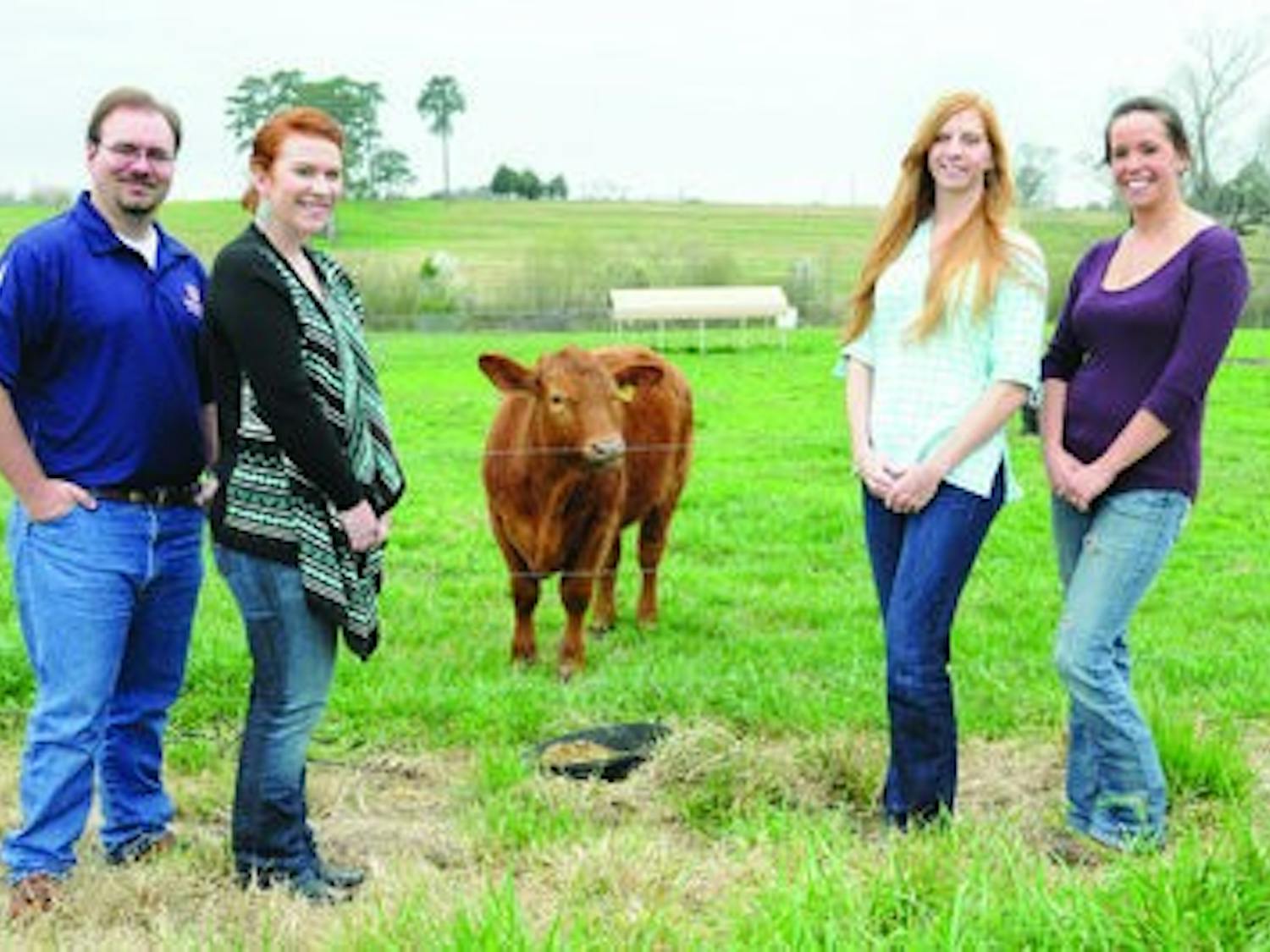 Brandon Smith, Reba Hicks, Casey Randle and Courteney McNamee stand with Cowboy, a 1-year-old steer from the research pastures. The four recently competed in the Animal Sciences Academic Quadrathlon. (Christen Harned / ASSISTANT PHOTO EDITOR)