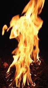 The Auburn Fire Dept. is stopping all open burning permits due to a Red Flag from the NWS. (Emily Morris / ASSISTANT PHOTO EDITOR)