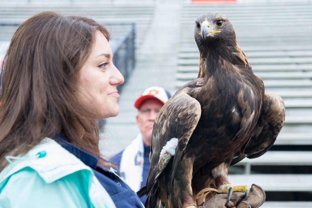 <p>One of the Southeastern Raptor Center's eagles appears on the sideline with her handler&nbsp;during Auburn's A-Day game on Saturday, April 7, 2018, in Auburn, Ala. </p>