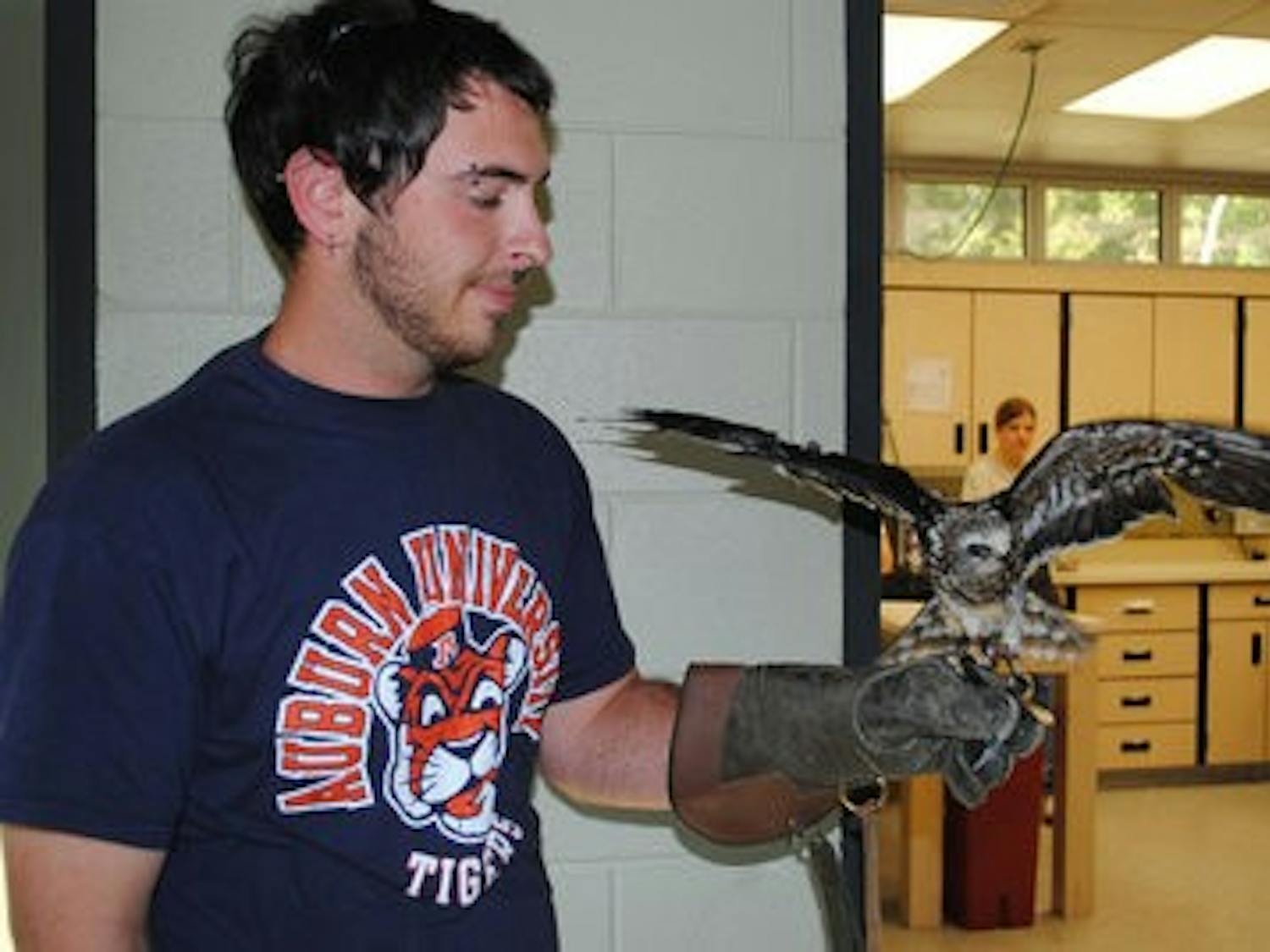 Raptor Center volunteer Shawn Smith, junior in wildlife science, holds a Mississippi Kite. (Elaine Busby / ASSISTANT PHOTO EDITOR)