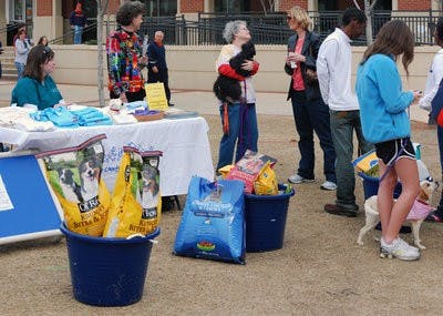 Pet enthusiasts stop to look at one of the pet adoption stands in front of the Auburn Arena. (Tim Simpson / photo staff)