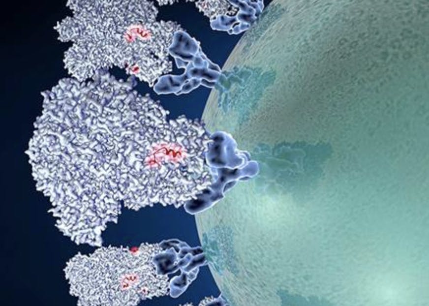 Screen Shot 2020-03-02 at 7.04.05 PM.png