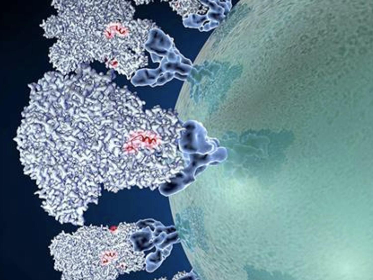 Screen Shot 2020-03-02 at 7.04.05 PM.png