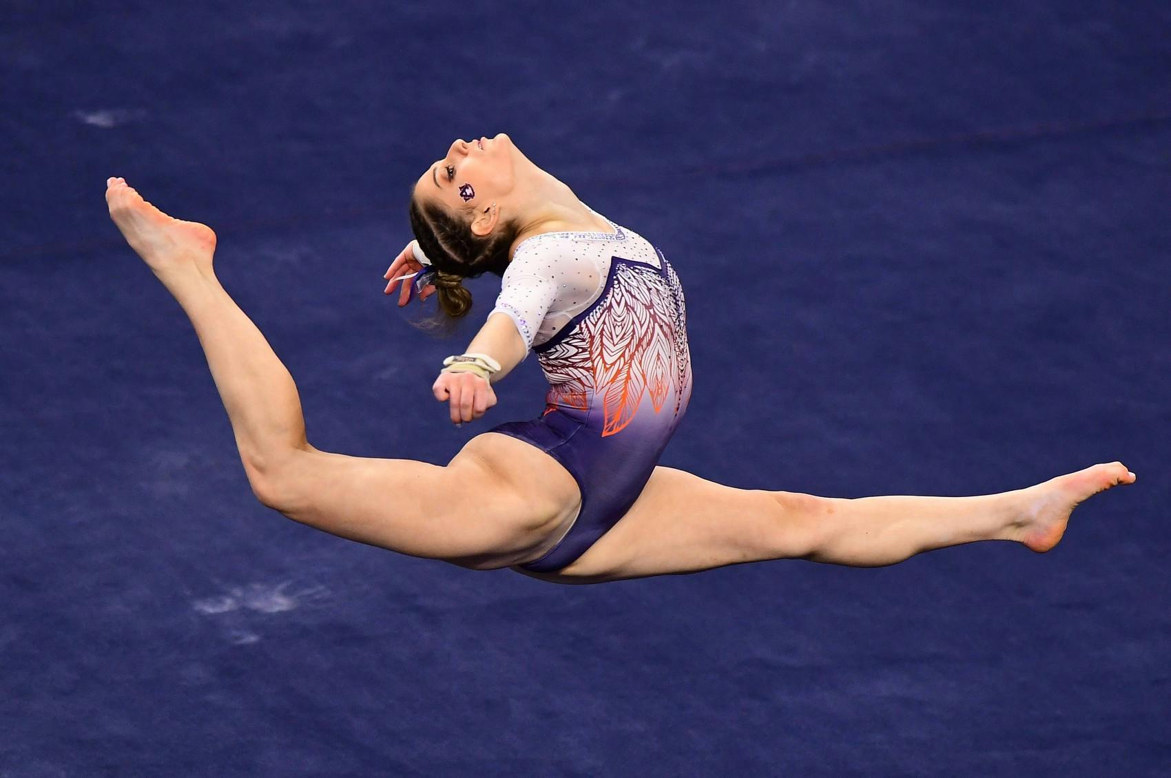 auburn 20210108 SL1_5082.JPG