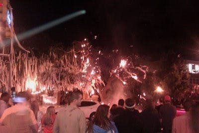 CONTRIBUTED: Shaye Smith