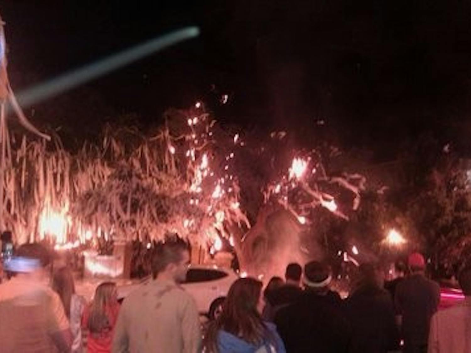 CONTRIBUTED: Shaye Smith