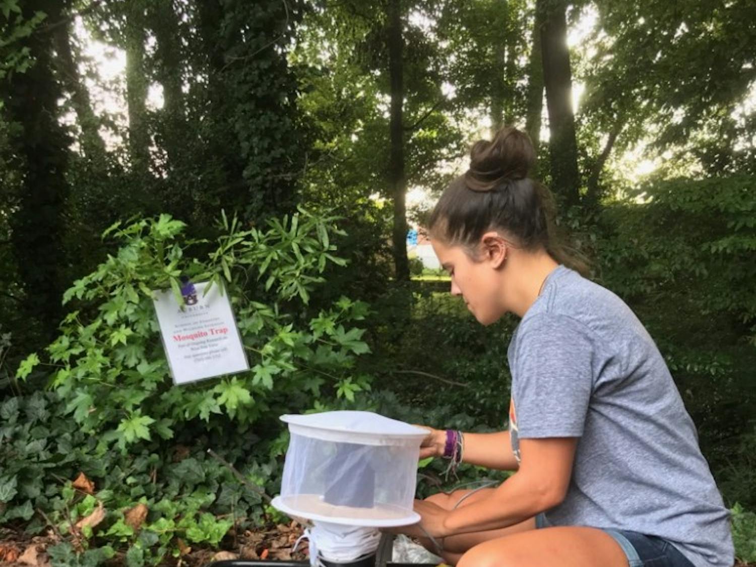 Castaneda mosquito trap.jpg