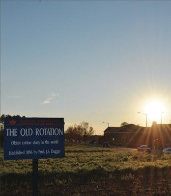 The agriculture department is integrating more hands-on experience in labs for students who did not have that experience growing up. (Raye May / PHOTO EDITOR)