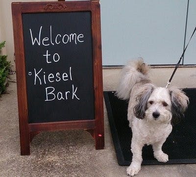 Kiesel Bark regular, Rudy, greets guests at the entrance of the store.