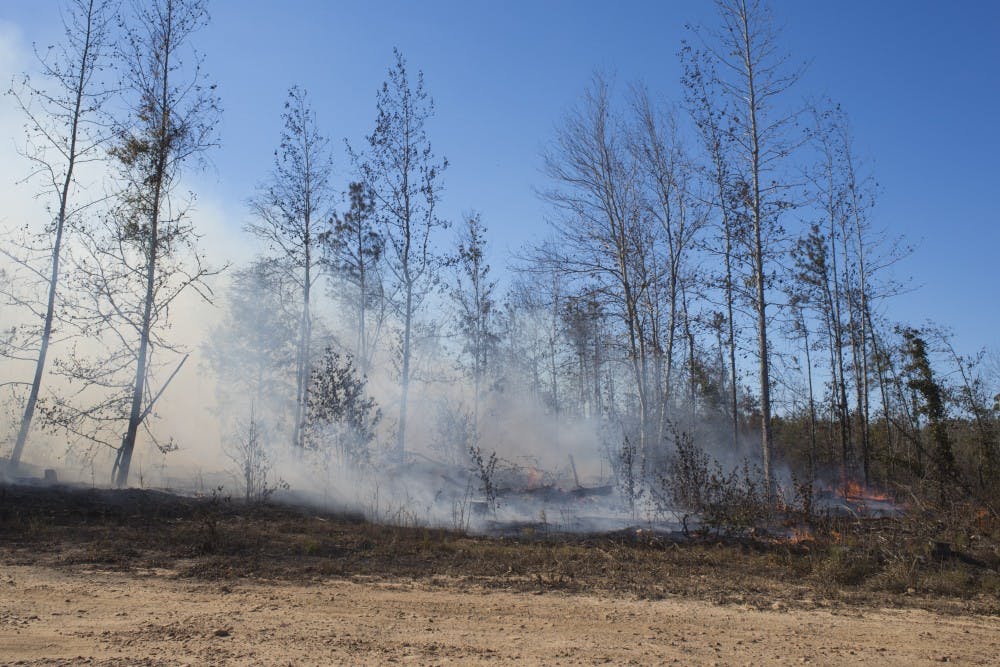<p>Smoke and flames&nbsp;from an apparent controlled burn billows into the air over forest land on Old Columbus Parkway in Lee County, Ala., on Wednesday, Oct. 5, 2016. The Alabama Forestry Commission had to bring a bulldozer to help put the fire out that grew to 300 acres.</p>