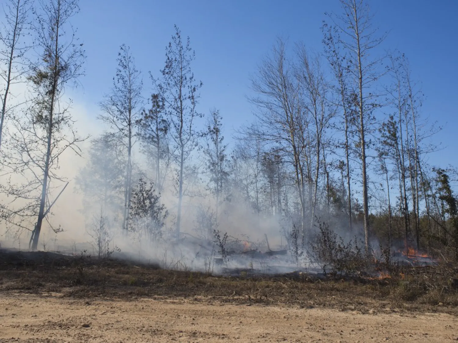 Lee county controlled burn