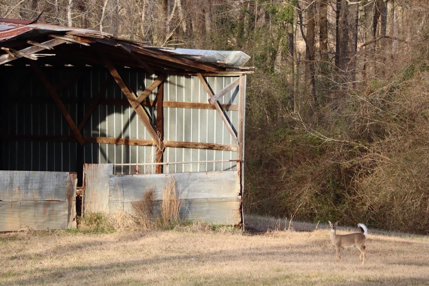 STEM: Deer Lab Photo 1