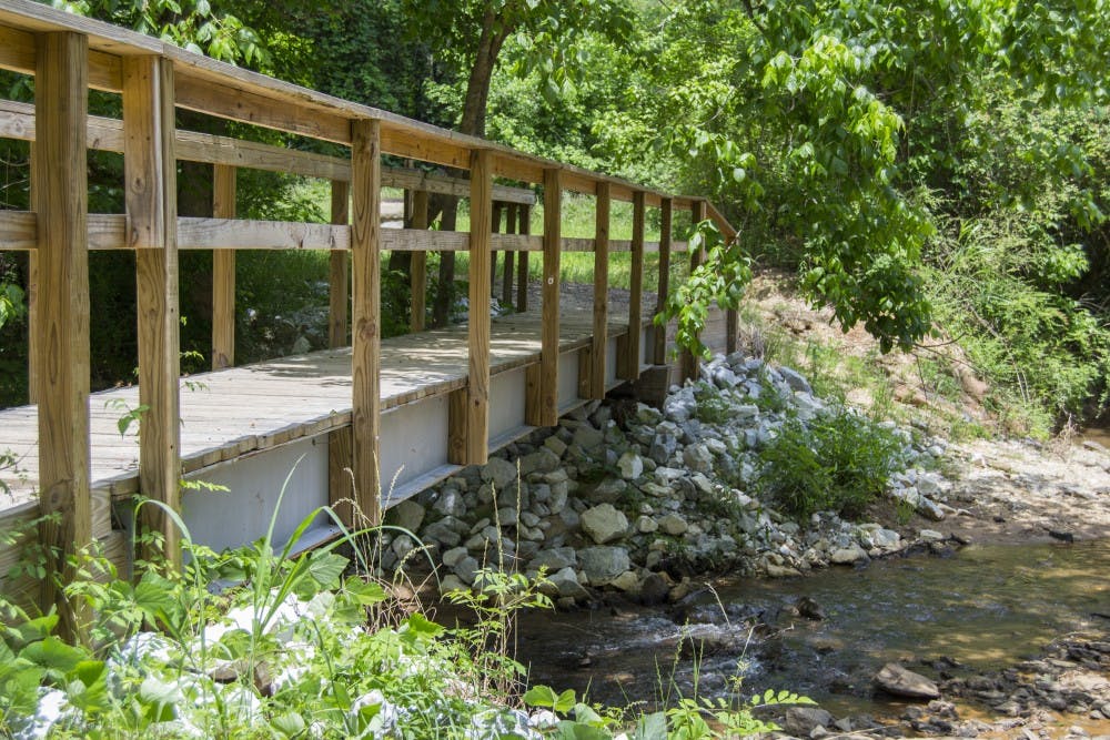 The bridge at the Preserve was constructed by a Boy Scout for his Eagle Scout project. (Jordan Hays | Contributing Writer) 