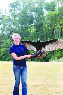 The Raptor Center holds shows on Fridays before home games. (Alex Sager / ASSISTANT PHOTO EDITOR)