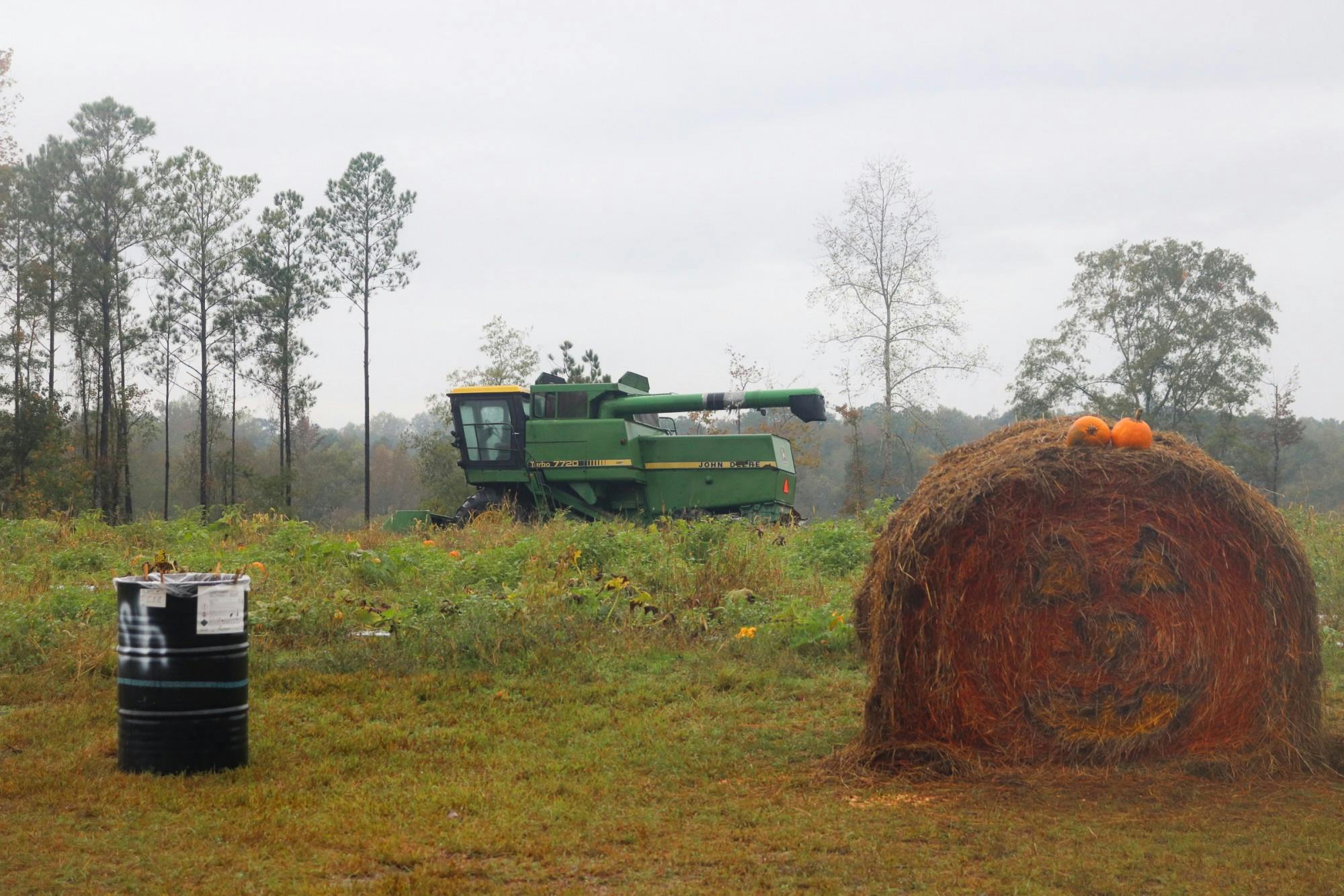 Farmer in the Dell Pumpkin Patch