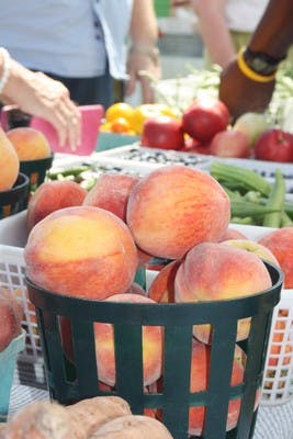 Ashlea Draa/Photo Editor