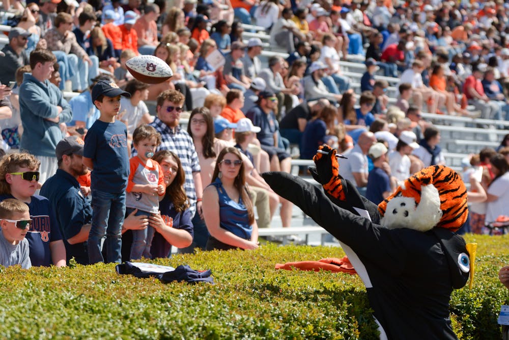 Aubie returning an autographed football to a young fan during the A Day scrimmage on April 6 2024.