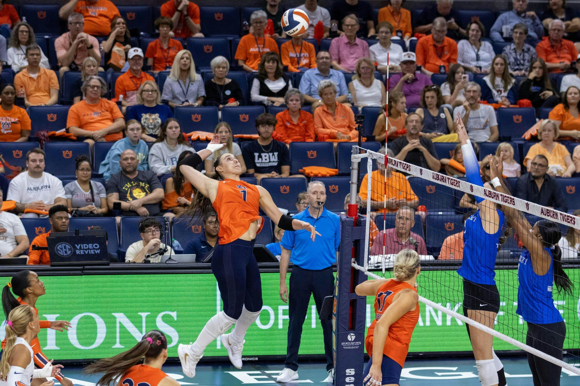 Auburn volleyball takes on LSU for clash of the Tigers - The Plainsman