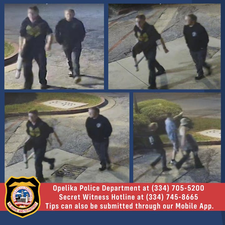Vandalism - Suspects (2)